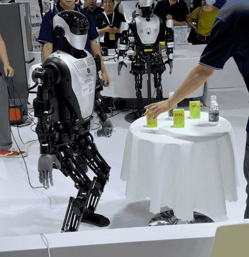 探索智能機(jī)器人的未來(lái) 世界機(jī)器人大會(huì)27款人形機(jī)器人驚艷亮相